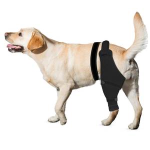 lot 18018 image: Joypig Dog Rear Leg Sleeve Protector XL Left