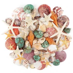 lot 20333 image: Jangostor Sea Shells Mixed Ocean Seashells, 1.2-3.5 Various Sizes Beach Seashells and Natural Starfish for Vase Fillers Fish Tank Beach Themed Party Home Wedding Decorations DIY Crafts (Open Box, May Be Missing Pieces)