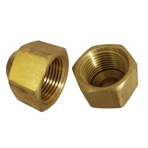 lot 18228 image: Legines 38 Flare Cap Brass SAE 45 Degree (2-Pack)