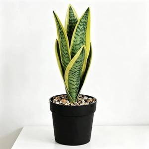lot 20059 image: Mini plants Small Artificial Snake Plant in Black Pot 10.5 - Green