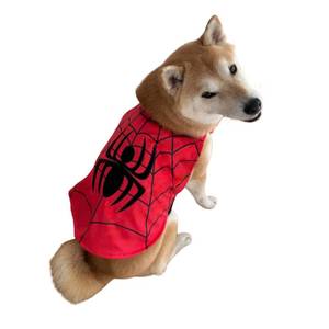lot 2286 image: ComfyCamper Spider Web Cape for Dogs - XS Small Medium Large XXL Onesie Pet Cats Pup Cosplay Halloween Costumes, M