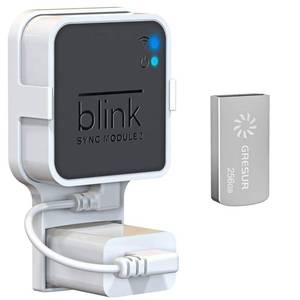 lot 8209 image: 256GB USB Flash Drive for Blink Sync Module 2 with Outlet Wall Mount(1Pack)