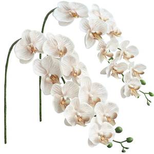 lot 19180 image: Floroom 2pcs Faux Phalaenopsis Orchid Fake Artificial Flower with Stems, Real Touch Large Blooms 40 Inch for DIY Bouquets, Wedding Centerpieces & Home Decor, Warm Beige