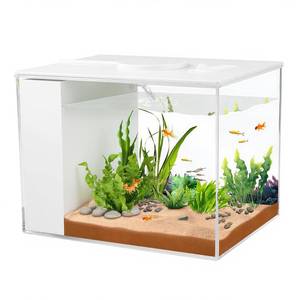 lot 1266 image: Charmshine 1 Gallon Betta Aquarium Starter Kit