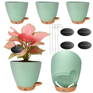 lot 1276 image: Fielda Self-Watering Plant Pots 6 Inch 5-Pack
