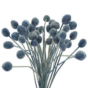 lot 11760 image: Uieke Artificial Dried Craspedia Flowers Blue 20pc
