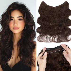lot 20067 image: Rich Choices Wire Hair Extensions 16 Inch Remy Human Hair #2R