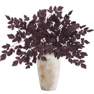 lot 20114 image: Set of 5 Fall Cimicifuga Stems, 63cm