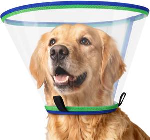 lot 2426 image: ICOYEA Soft Dog Cone Collar Size 3 Blue