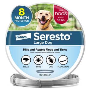 lot 10006 image: Seresto 8-Month Flea & Tick Collar for Large Dogs Over 18 lbs., 1ct