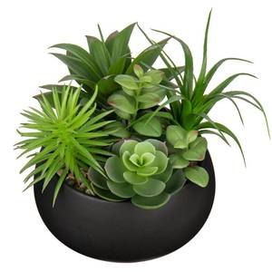 lot 11782 image: Hollyone Artificial Succulent in Black Ceramic Planter 5.1x6.7