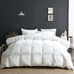 lot 11807 image: APSMILE Heavy Weight Duvet Insert Oversized Queen  Retail $259