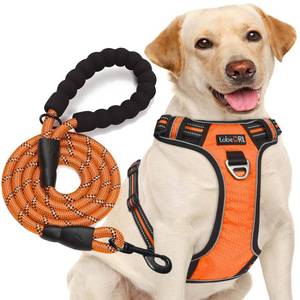 lot 12055 image: tobeDRI No Pull Dog Harness Adjustable Reflective Large Orange