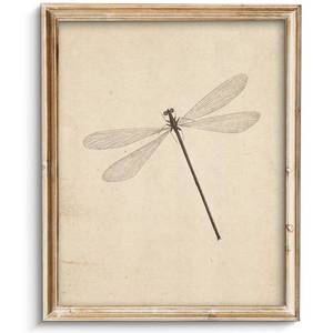 lot 20395 image: Vintage Dragonfly Sketch Art Print 8x10
