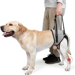 lot 6072 image: ROZKITCH Dog Lift Harness, Rear Support XL