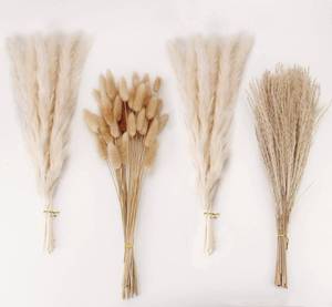 lot 8368 image: ANPROOR Dried Pampas Grass Bundle 100 Pieces Mixed