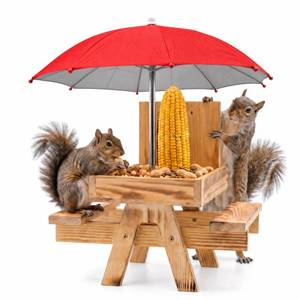 lot 1517 image: Aviddo Squirrel Feeder Picnic Table with Umbrella