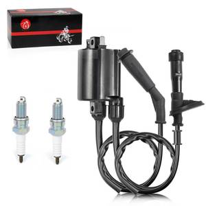 lot 2212 image: Honda Shadow VLX 600 Ignition Coil & Spark Plug Cap Kit