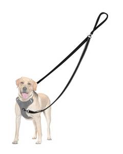 lot 2325 image: PetBonus Two Point Control Dog Leash with Swivel Clip