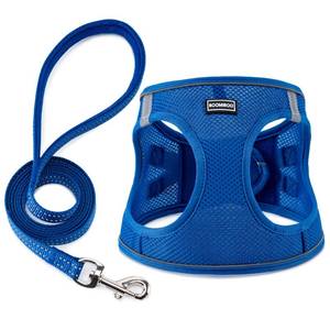 lot 6119 image: BOOMIBOO Dog Harness with Leash Set Step-in XS Blue