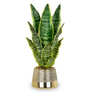 lot 1682 image: Oairse Artificial Snake Plant, 16.9 inch, Gold Pot
