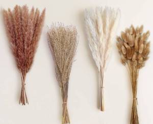 lot 2463 image: Weald Tribe Dried Pampas Grass Bundle 110 Stems 17