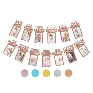lot 2496 image: Baby Monthly Milestone Photo Banner Rose Gold