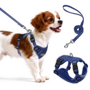 lot 2549 image: Ychpaw Small Dog Harness and Leash Set
