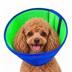 lot 8443 image: LH NTGR Soft Dog Recovery Collar