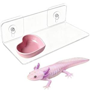 lot 14233 image: Anranmm Axolotl Feeding Shelf with Ceramic Bowl