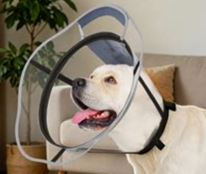 lot 14206 image: Didopet Dog Cone Collar Clear Detachable Zipper Reflective Strip Design