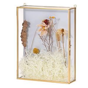 lot 9675 image: JUXYES 8x10 inches Gold Shadow Box Frame Display Case with White Backplane, Clear Display Case for Collectibles, Keepsake Box Memory Box Picture Art Frame Collection Display Box, No Assembly