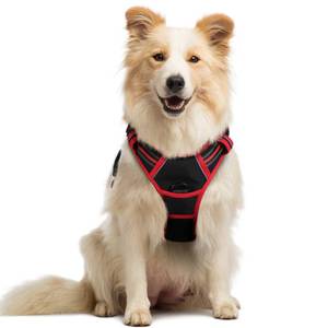 lot 12389 image: Rabbitgoo Dog Harness No Pull Medium with 2 Leash Clips