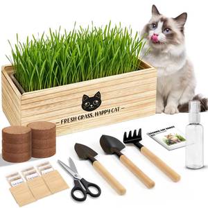 lot 2908 image: Zeetmart Cat Grass Kit with Wooden Planter and Seeds