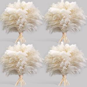 lot 8142 image: Kocat White Pampas Grass Stems - 40 Pieces