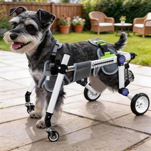 lot 13237 image: LetPetRun Dog Wheelchair for Small Dogs, XXS Size