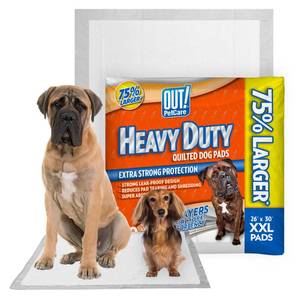 lot 13290 image: OUT XXL Puppy Pads, 26x30, 30 Count
