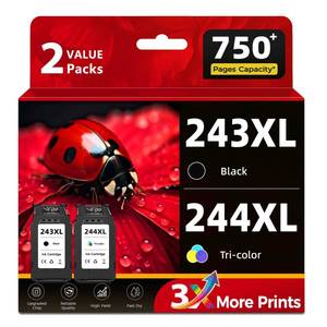 lot 14074 image: Ecoworld 243XL 244XL Ink Cartridge Combo Pack