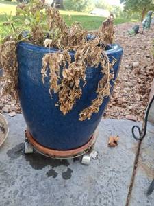lot 1093 image: Blue Glazed Planter