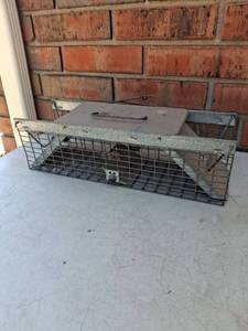 lot 1183 image: Small Wire Mesh Live Animal Trap