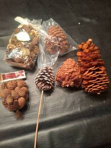 lot 1257 image: Pinecones
