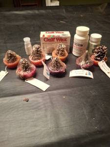lot 1262 image: Mountain Boy Fire Starter Lot 6 Pack with Gulf Wax and Supplies