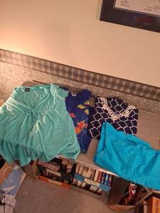 lot 1434 image: Womens Beach Wear 1X