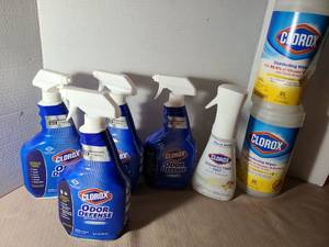 lot 2017 image: Household cleansers.