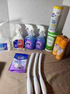 lot 2021 image: Household cleaning products and hand sanitizer.