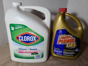 lot 2024 image: Clorox cleanser and Liquid Plumber gel, both full.