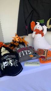 lot 3217 image: Halloween decor with dog costume, stuffed toys and more