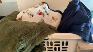 lot 3533 image: Throw blankets, miscellaneous sheets, and towel in laundry basket