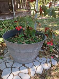 lot 4114 image: 14 x 22 Garden Pot with Plant