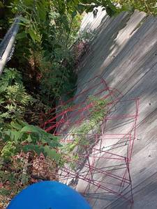 lot 4117 image: Red Metal Garden Fencing